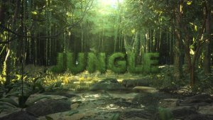 Videohive Jungle Title Opener Logo Stings template preview