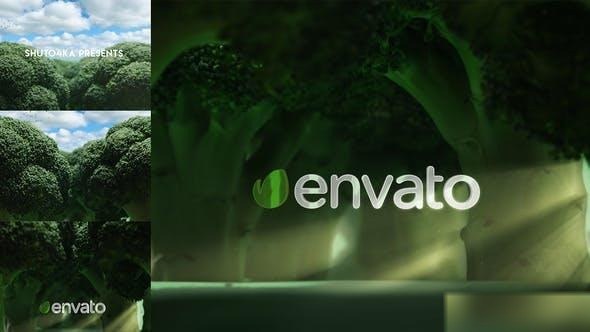 Videohive Broccoli Logo Opener | Nature, Ecology, Vegetarianism Openers template preview