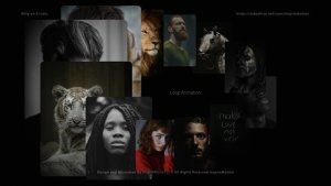 Videohive Photo Carousel Pack Video Displays template preview