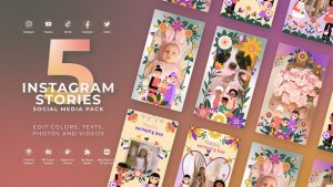 Videohive Mothers Day Instagram Stories 52090609 Product Promo template preview