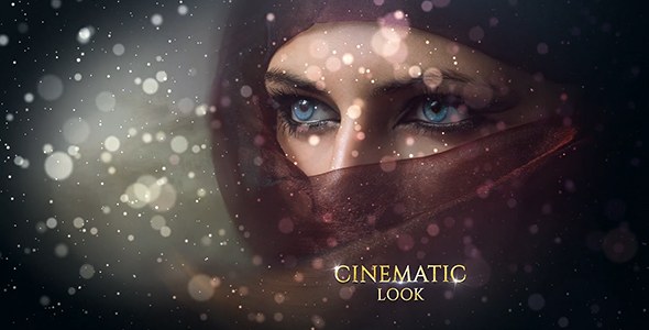 Slideshow Video Displays template preview