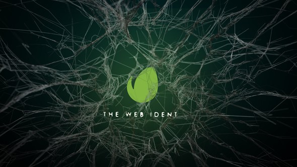 Videohive Webs Logo Reveal Logo Stings template preview