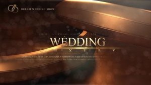 Videohive Wedding 49291923 Openers template preview