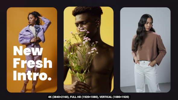 Videohive Splitscreen Clean Intro Openers template preview