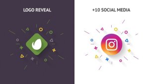 Videohive Clean Logo Reveal 20914662 Logo Stings template preview