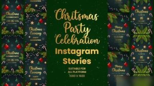 Videohive Christmas Celebration Party Invitation Instagram Stories Openers template preview