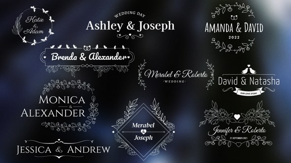 Videohive Wedding/Romantic Titles 34029074 Titles template preview