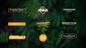 Videohive Creative Titles | After Effects 37230268 Titles template preview