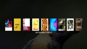 Videohive Instagram Stories 29475809 Product Promo template preview