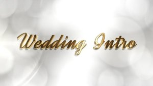 Videohive Wedding Intro 21879185 Openers template preview