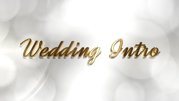 Videohive Wedding Intro 21879185 Openers template preview