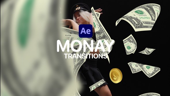 Videohive Money Transitions for After Effects Elements template preview
