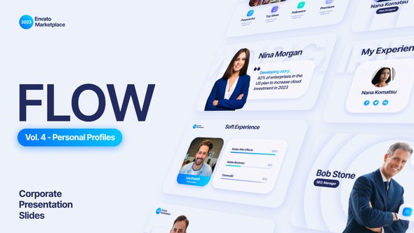 Videohive Flow - Personal Profiles Scenes Pack Titles template preview
