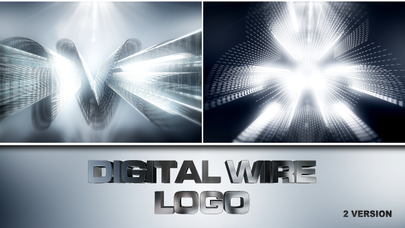 Videohive Digital Wire Logo Logo Stings template preview