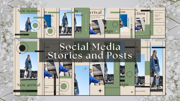 Videohive Instagram Stories and Posts 51361917 Elements template preview