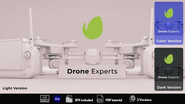 Videohive Drone Logo Reveal 49830916 Logo Stings template preview