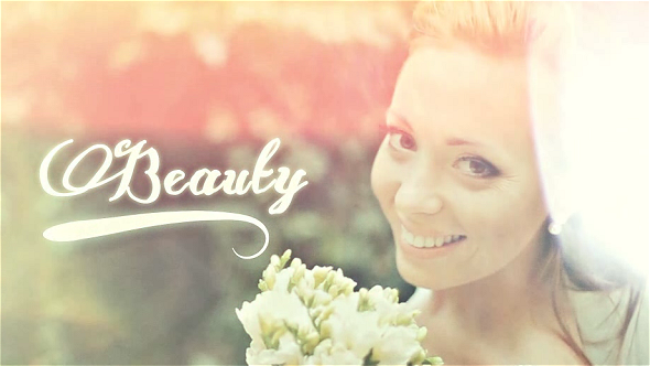 Videohive Wedding Photo & Video Gallery Montage Video Displays template preview