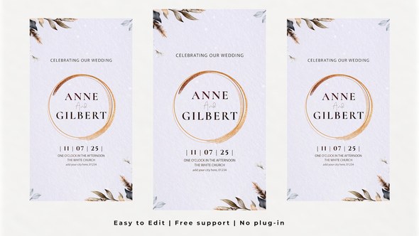 Videohive Vertical Wedding Intro 60856754 Video Displays template preview
