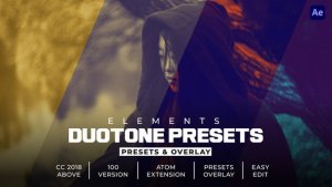 Duotone Effects Elements template preview