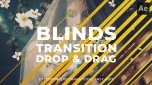Clean Blinds Transition Elements template preview