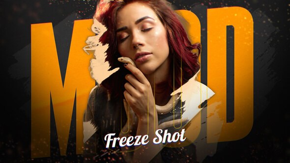 Videohive Mood Freeze Shot Video Displays template preview