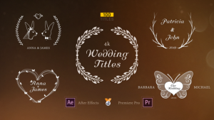 Videohive Wedding Titles 23506580 Titles template preview