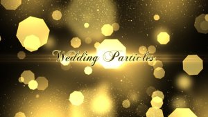 Videohive Wedding Particles Opener Openers template preview