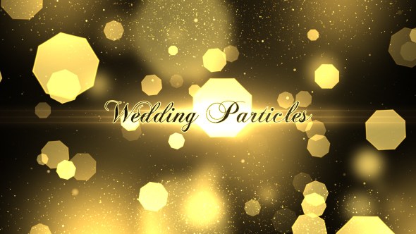 Videohive Wedding Particles Opener Openers template preview