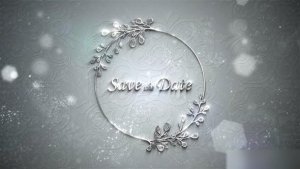 Videohive Wedding Silver Titles Logo Stings template preview