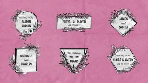 Videohive Romantic Titles Titles template preview