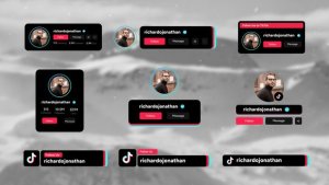 Videohive TikTok Follow Elements Elements template preview