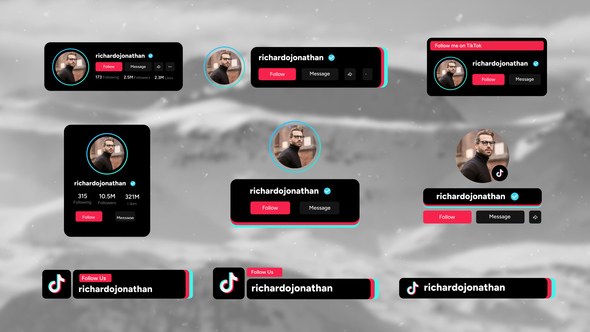 Videohive TikTok Follow Elements Elements template preview