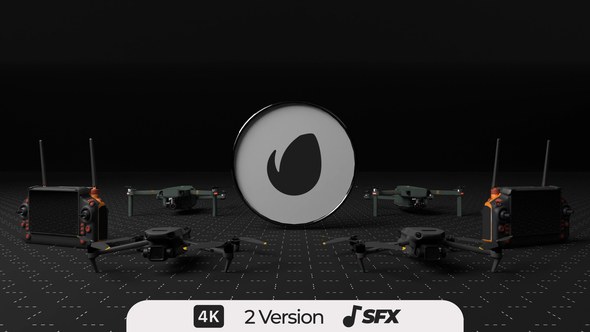 Videohive Drone Experts Logo Stings template preview