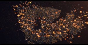 Videohive Golden Rock Logo Opener Openers template preview