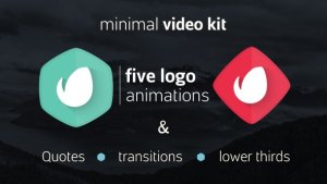Simple Minimal Video Kit Video Displays template preview