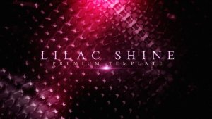 Videohive Lilac Shine Video Displays template preview