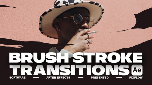 Videohive Brush Stroke Transitions V.1 For After Effects Elements template preview