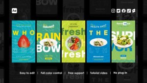 Videohive Healthy Food Instagram Stories 43895138 Product Promo template preview