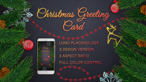 Christmas Instagram Stories And Posts Video Displays template preview