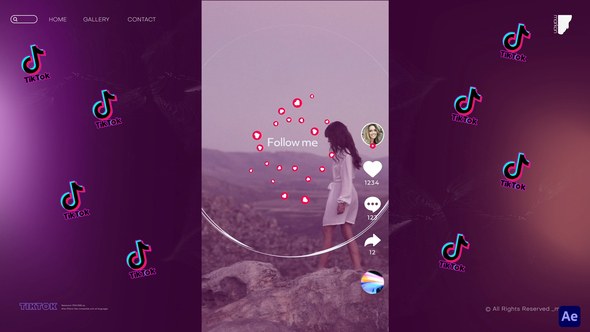 Videohive Creative and Modern TikTok Elements Elements template preview