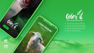 Color it - 3D  Smartphone Presentation v2 Video Displays template preview