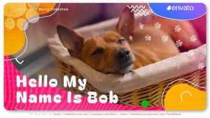 Videohive Adopt Pets Mercy Slideshow Video Displays template preview