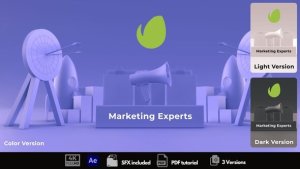 Videohive Marketing Experts Logo Stings template preview