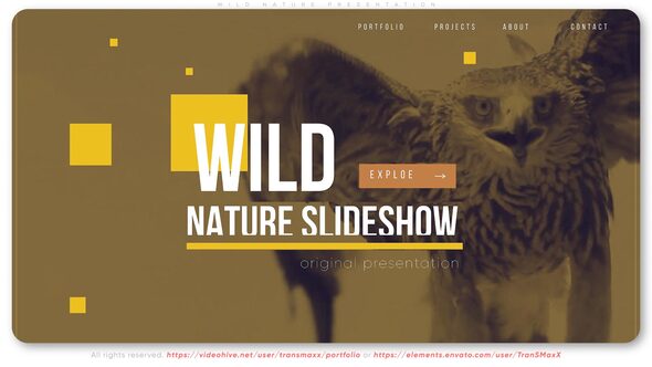 Videohive Wild Nature Presentation Openers template preview
