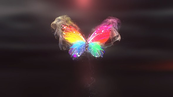 Videohive Colorful Butterfly Logo Reveal 4K Logo Stings template preview