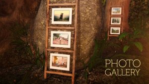 Videohive Photo gallery in an enchanted forest Video Displays template preview