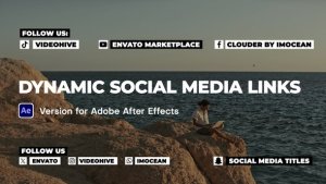 Videohive Dynamic Social Media Links Elements template preview