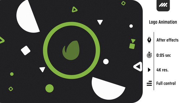 Videohive Wiggly logo Logo Stings template preview