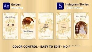 Videohive Golden Wedding Instagram Stories Openers template preview