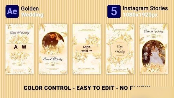 Videohive Golden Wedding Instagram Stories Openers template preview